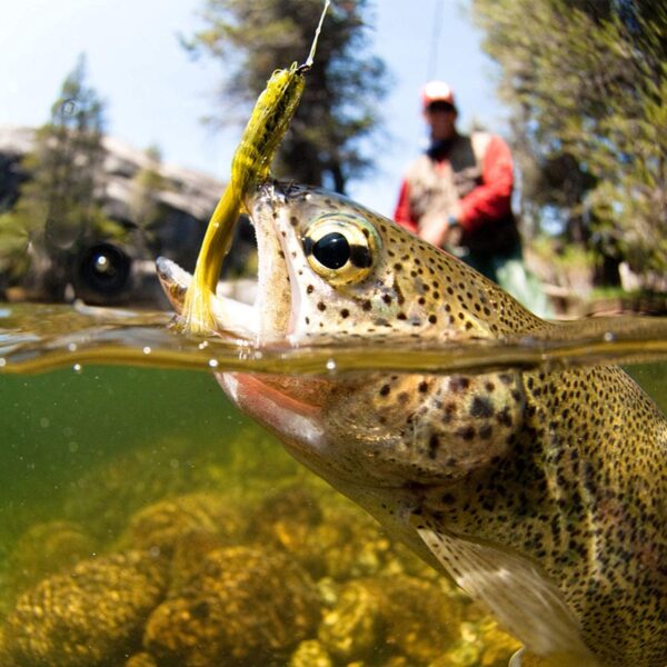 Fly Fishing Flies + Fly Fishing Net Dry Flies Nymphs Fly Fishing Flies Kit - Image 8