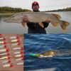 Fish Bait Set Simulated Freshwater sea Water Dry Flies Nymphs Fly Fishing Flies Kit - Image 4