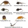 Best Assortment Flies Combo Carp Flies Wet T Dry Flies Nymphs Fly Fishing Flies Kit - Image 2