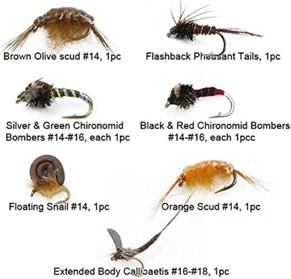 Best Assortment Flies Combo Carp Flies Wet T Dry Flies Nymphs Fly Fishing Flies Kit - Image 2
