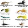 Best Assortment Flies Combo Carp Flies Wet T Dry Flies Nymphs Fly Fishing Flies Kit - Image 3