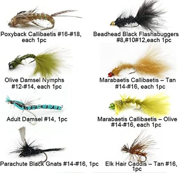 Best Assortment Flies Combo Carp Flies Wet T Dry Flies Nymphs Fly Fishing Flies Kit - Image 3