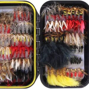 120pcs Dry Flies Wet Flies Flies Box Set Mix Dry Flies Nymphs Fly Fishing Flies Kit