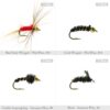 120pcs Dry Flies Wet Flies Flies Box Set Mix Dry Flies Nymphs Fly Fishing Flies Kit - Image 6
