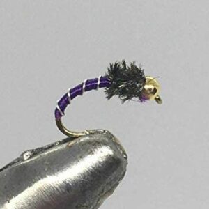 One Dozen (12) Tungsten Beadhead Zebra Mid Dry Flies Nymphs Fly Fishing Flies Kit
