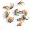 Sturdy Realistic Nymph Scud Flies  Fly Fishi Dry Flies Nymphs Fly Fishing Flies Kit - Image 2