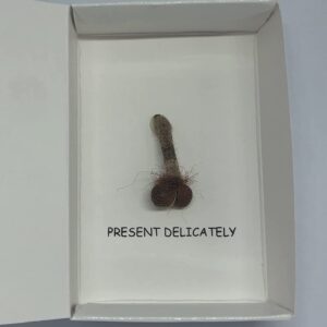 R16 Novelty Fly Fishing Gift Dry Flies Nymphs Fly Fishing Flies Kit