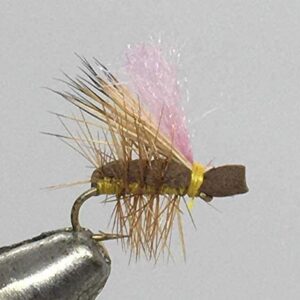 One Dozen (12) Never Sink Caddis Dry Fly Dry Flies Nymphs Fly Fishing Flies Kit