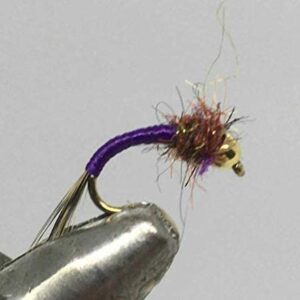 One Dozen (12) Tungsten Beadhead Rainbow W Dry Flies Nymphs Fly Fishing Flies Kit