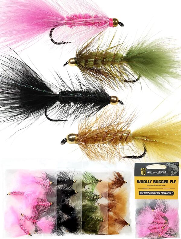 - Woolly Bugger Fly KIT (20 Flies) with Bead Dry Flies Nymphs Fly Fishing Flies Kit