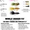 - Woolly Bugger Fly KIT (20 Flies) with Bead Dry Flies Nymphs Fly Fishing Flies Kit - Image 2