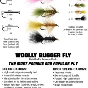 – Woolly Bugger Fly KIT (20 Flies) with Bead Dry Flies Nymphs Fly Fishing Flies Kit