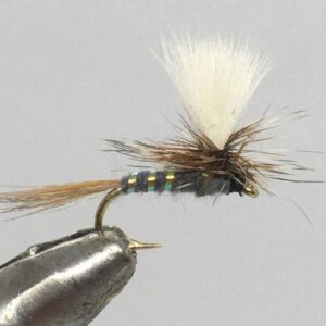 One Dozen (12) Parachute Adams Variant Dry Flies Nymphs Fly Fishing Flies Kit