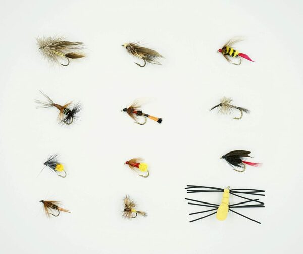 Bluegill Fly 12 Piece Kit Dry Flies Nymphs Fly Fishing Flies Kit - Image 2