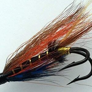 Fly Fishing Salmon Flies Thunder and Lightni Dry Flies Nymphs Fly Fishing Flies Kit
