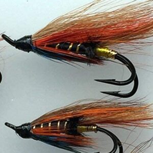 Fly Fishing Salmon Flies Thunder and Lightni Dry Flies Nymphs Fly Fishing Flies Kit