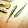 60-2 1/4 Crappie-BASS-Walleye-SHAD Minnow-JI Fishing Artificial Bait Soft Plastic Lures" - Image 3