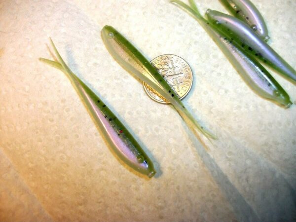 60-2 1/4 Crappie-BASS-Walleye-SHAD Minnow-JI Fishing Artificial Bait Soft Plastic Lures" - Image 4