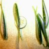 60-2 1/4 Crappie-BASS-Walleye-SHAD Minnow-JI Fishing Artificial Bait Soft Plastic Lures" - Image 5