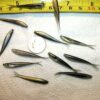 100-1 1/2 Crappie-PANFISH-SHAD Minnow-GRUBS- Fishing Artificial Bait Soft Plastic Lures" - Image 7
