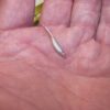 100-1 1/4 FLUKE-Crappie-panfish-Perch-shad M Fishing Artificial Bait Soft Plastic Lures" - Image 4