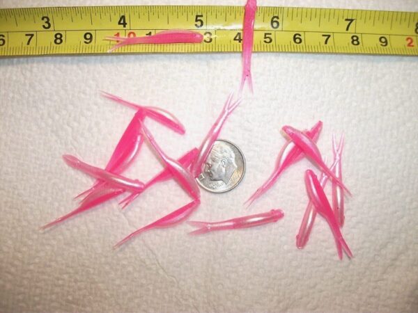 100-1 1/4 FLUKE-Crappie-panfish-shad Minnow  Fishing Artificial Bait Soft Plastic Lures"