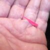 100-1 1/4 FLUKE-Crappie-panfish-shad Minnow  Fishing Artificial Bait Soft Plastic Lures" - Image 6