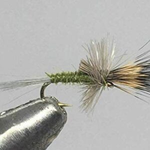 One Dozen (12) Quigley Cripple Blue Wing Dry Flies Nymphs Fly Fishing Flies Kit