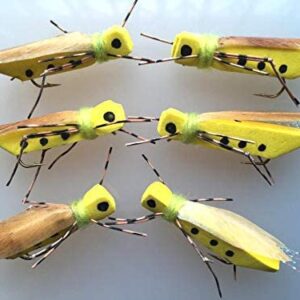 Fly Fishing 6 Pack- Leopard Hopper Foam Floa Dry Flies Nymphs Fly Fishing Flies Kit