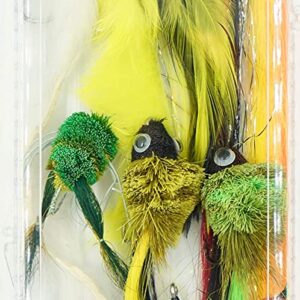 Northern Pike Fly 12 Piece Kit Dry Flies Nymphs Fly Fishing Flies Kit