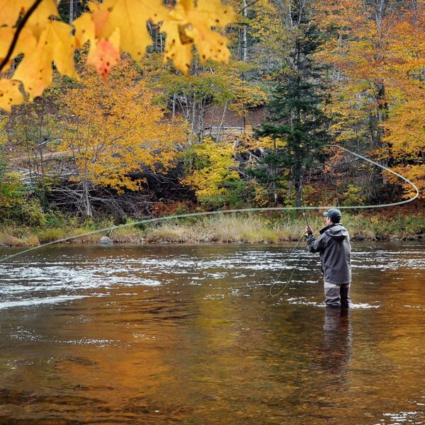 Morrish Hopper Foam Body High Visibility Gra Dry Flies Nymphs Fly Fishing Flies Kit - Image 4
