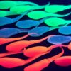Northwoods Fishing 1.75 Egghead Glow/Scented Fishing Artificial Bait Soft Plastic Lures"