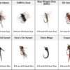 Fly Fishing Flies Dry Flies Nymph Flies Stre Dry Flies Nymphs Fly Fishing Flies Kit - Image 4