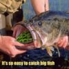 Topwater Frog Lure Bass Trout Fishing Lures  Dry Flies Nymphs Fly Fishing Flies Kit - Image 6