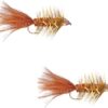 Autumn Splendor Conehead 2 Pack Dry Flies Nymphs Fly Fishing Flies Kit