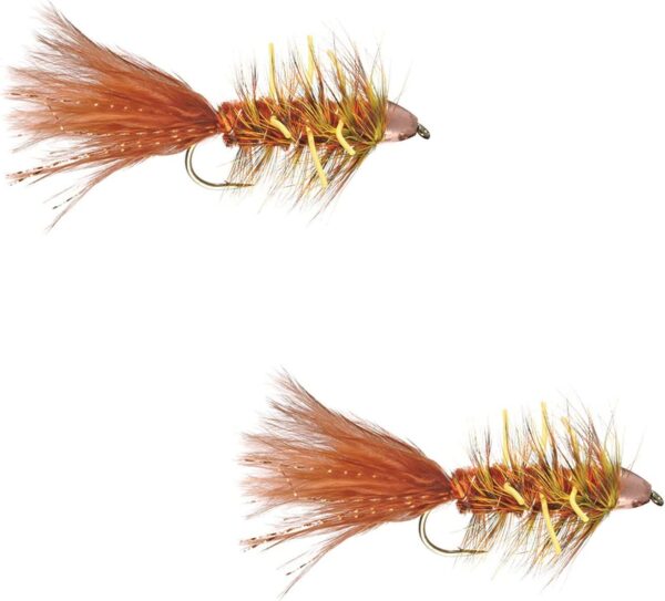 Autumn Splendor Conehead 2 Pack Dry Flies Nymphs Fly Fishing Flies Kit