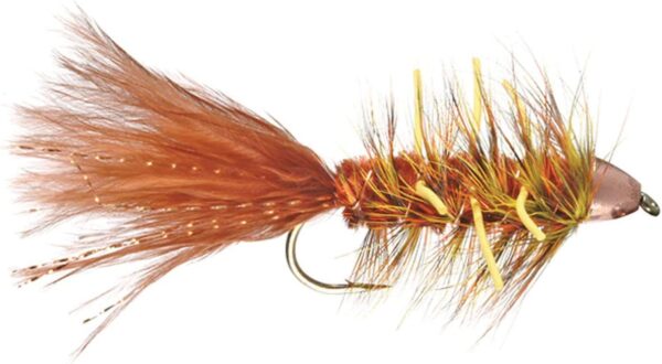 Autumn Splendor Conehead 2 Pack Dry Flies Nymphs Fly Fishing Flies Kit - Image 2