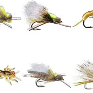Golden Stoneflies 6 Piece Fly Assortment Kit Dry Flies Nymphs Fly Fishing Flies Kit