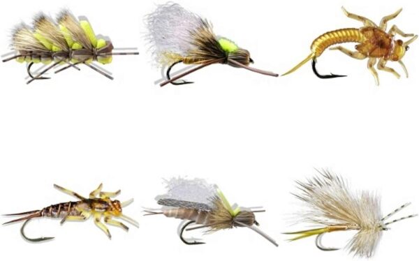Golden Stoneflies 6 Piece Fly Assortment Kit Dry Flies Nymphs Fly Fishing Flies Kit