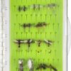 Best Assortment Flies Combo Carp Flies Wet T Dry Flies Nymphs Fly Fishing Flies Kit - Image 2