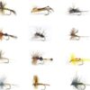Best Assortment Flies Combo Carp Flies Wet T Dry Flies Nymphs Fly Fishing Flies Kit