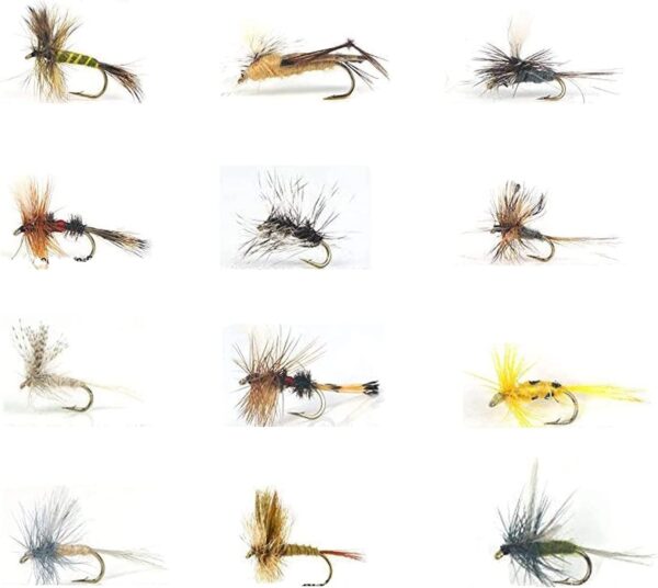 Best Assortment Flies Combo Carp Flies Wet T Dry Flies Nymphs Fly Fishing Flies Kit
