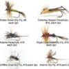 Best Assortment Flies Combo Carp Flies Wet T Dry Flies Nymphs Fly Fishing Flies Kit - Image 2