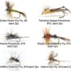 Best Assortment Flies Combo Carp Flies Wet T Dry Flies Nymphs Fly Fishing Flies Kit - Image 3