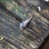 Hand Tied Fly Fishing Dry Flies Assortment w Dry Flies Nymphs Fly Fishing Flies Kit - Image 5