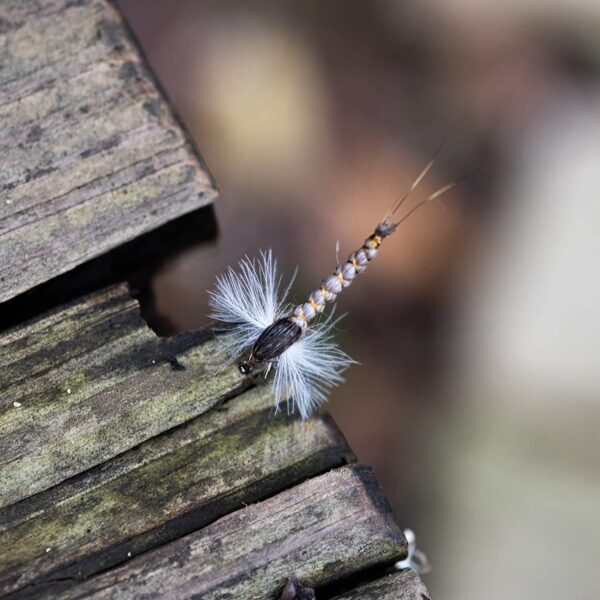 Hand Tied Fly Fishing Dry Flies Assortment w Dry Flies Nymphs Fly Fishing Flies Kit - Image 6