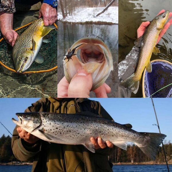 Fly Fishing Flies Kit Trout Steelhead Salmon Dry Flies Nymphs Fly Fishing Flies Kit - Image 7