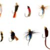 12x Fishing Flies Simulation Nymphs Fisherma Dry Flies Nymphs Fly Fishing Flies Kit