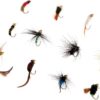 12x Fishing Flies Simulation Nymphs Fisherma Dry Flies Nymphs Fly Fishing Flies Kit - Image 6