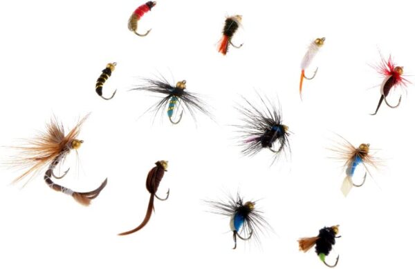 12x Fishing Flies Simulation Nymphs Fisherma Dry Flies Nymphs Fly Fishing Flies Kit - Image 6